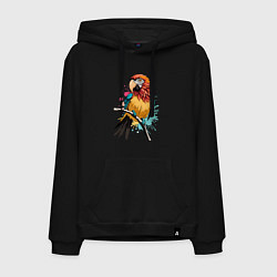 Толстовка-худи хлопковая мужская Акварельный попугай, цвет: черный