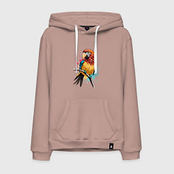 Толстовка-худи хлопковая мужская Акварельный попугай, цвет: пыльно-розовый