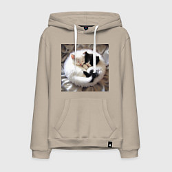 Толстовка-худи хлопковая мужская Два любящих котика обнимаются клубочком, цвет: миндальный