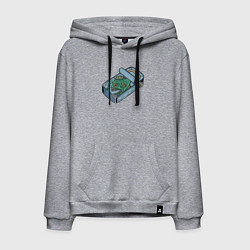 Толстовка-худи хлопковая мужская Консерва из удильщика, цвет: меланж