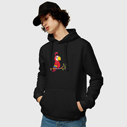 Толстовка-худи хлопковая мужская Красный попугайчик, цвет: черный — фото 2