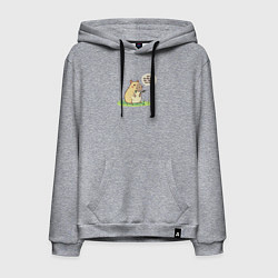 Толстовка-худи хлопковая мужская Капибара требует еду, цвет: меланж