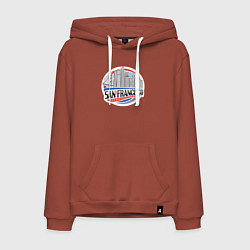 Толстовка-худи хлопковая мужская Сан-Франциско, цвет: кирпичный