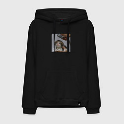 Толстовка-худи хлопковая мужская Котик под душем спасибо дура, цвет: черный