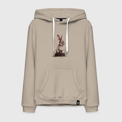 Толстовка-худи хлопковая мужская Кролик на пеньке, цвет: миндальный