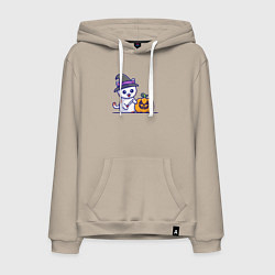 Толстовка-худи хлопковая мужская Cat pumpkin, цвет: миндальный