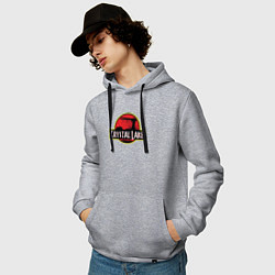 Толстовка-худи хлопковая мужская Crystal lake, цвет: меланж — фото 2