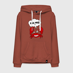 Толстовка-худи хлопковая мужская Я на мид, цвет: кирпичный