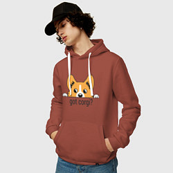 Толстовка-худи хлопковая мужская Got Corgi, цвет: кирпичный — фото 2