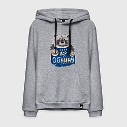 Толстовка-худи хлопковая мужская Енот: Иди обниму, цвет: меланж