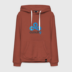 Толстовка-худи хлопковая мужская Cloud9, цвет: кирпичный