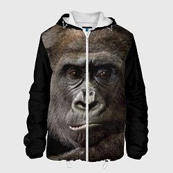 Мужская куртка Глаза гориллы