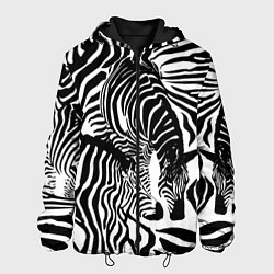 Куртка с капюшоном мужская Полосатая зебра, цвет: 3D-черный