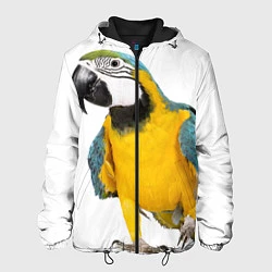 Куртка с капюшоном мужская Попугай ара, цвет: 3D-черный