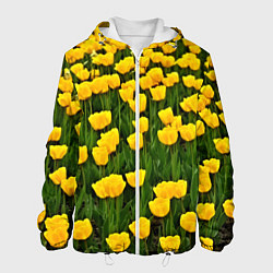 Куртка с капюшоном мужская Жёлтые тюльпаны, цвет: 3D-белый