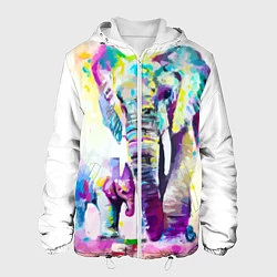 Куртка с капюшоном мужская Акварельные слоны, цвет: 3D-белый