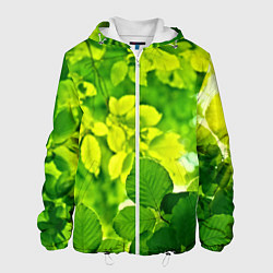 Куртка с капюшоном мужская Зелёные листья, цвет: 3D-белый