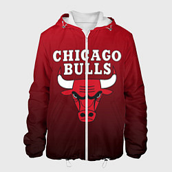 Куртка с капюшоном мужская CHICAGO BULLS, цвет: 3D-белый