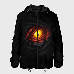 Куртка с капюшоном мужская Дракон, цвет: 3D-черный
