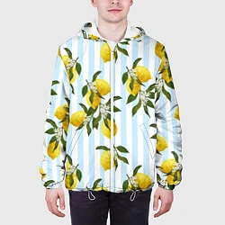 Куртка с капюшоном мужская Лимоны, цвет: 3D-белый — фото 2
