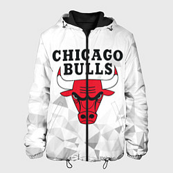 Куртка с капюшоном мужская CHICAGO BULLS, цвет: 3D-черный