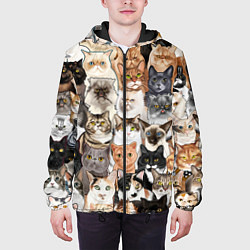 Куртка с капюшоном мужская Котики смешные, цвет: 3D-черный — фото 2