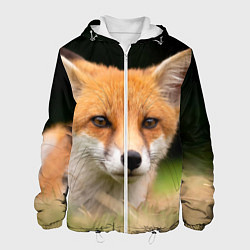 Куртка с капюшоном мужская Мордочка лисицы, цвет: 3D-белый