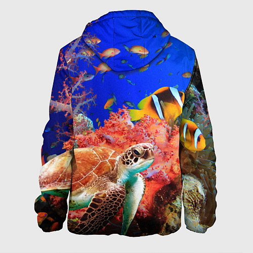 Мужская куртка Морская черепаха / 3D-Черный – фото 2