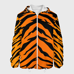 Мужская куртка Шкура тигра