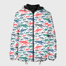 Мужская куртка Разноцветные Акулы