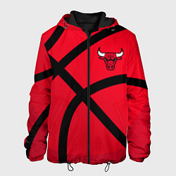 Куртка с капюшоном мужская Чикаго Буллз Chicago Bulls NBA, цвет: 3D-черный