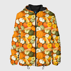 Мужская куртка Тыквы Pumpkin