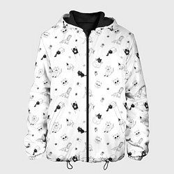 Куртка с капюшоном мужская Набор смешных котов, цвет: 3D-черный