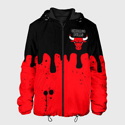 Куртка с капюшоном мужская Chicago Bulls Чикаго Буллз Логотип, цвет: 3D-черный