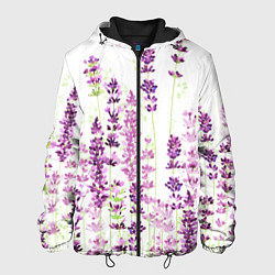 Куртка с капюшоном мужская Цветы Лаванды акварелью, цвет: 3D-черный
