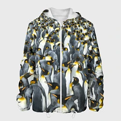 Куртка с капюшоном мужская Пингвины Penguins, цвет: 3D-белый