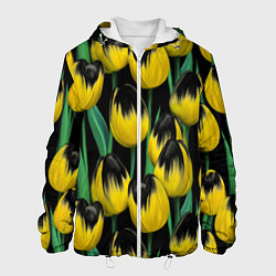 Куртка с капюшоном мужская Цветы Желтые Тюльпаны, цвет: 3D-белый