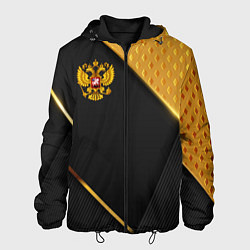 Куртка с капюшоном мужская Герб России на черном фоне с золотыми вставками, цвет: 3D-черный