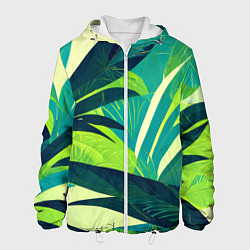 Мужская куртка Яркие тропические листья пальмы