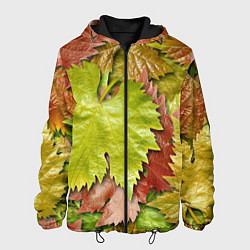 Куртка с капюшоном мужская Осенние листья клёна - паттерн, цвет: 3D-черный
