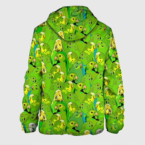 Мужская куртка Зеленые волнистые попугайчики / 3D-Черный – фото 2