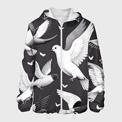Куртка с капюшоном мужская Белые сизые голуби летящие в небе, цвет: 3D-белый