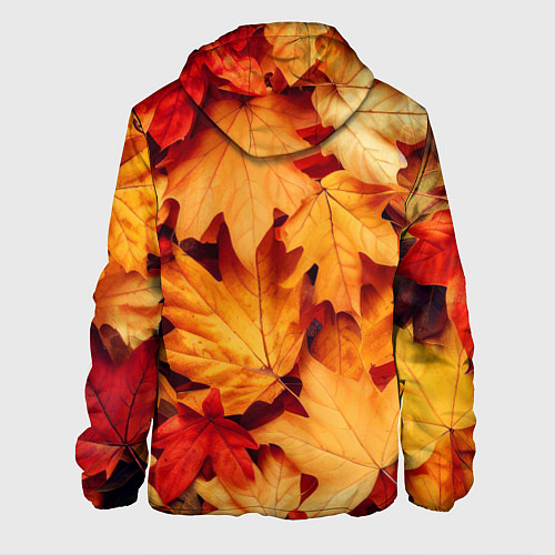 Мужская куртка Осенние кленовые листья / 3D-Черный – фото 2