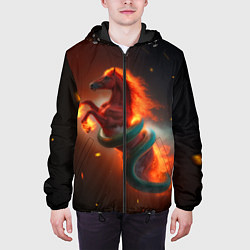 Куртка с капюшоном мужская Смена зелёной змеи на красную огненную лошадь, цвет: 3D-черный — фото 2