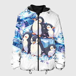 Куртка с капюшоном мужская Пингвины и лёд, цвет: 3D-черный