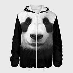 Куртка с капюшоном мужская Взгляд панды, цвет: 3D-белый