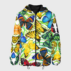 Куртка с капюшоном мужская Тропические бабочки, цвет: 3D-черный