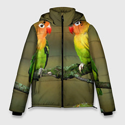 Мужская зимняя куртка Два попугая