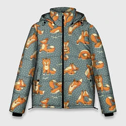 Мужская зимняя куртка Foxes Yoga