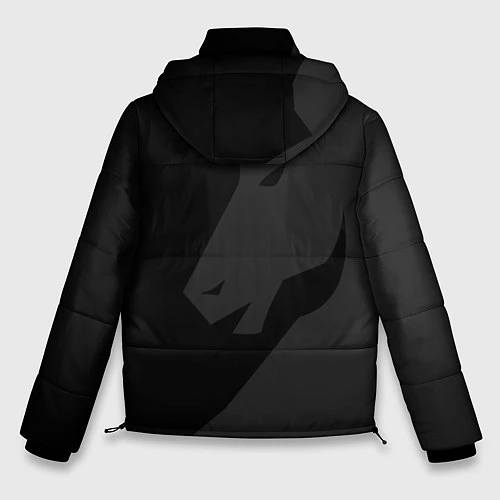 Мужская зимняя куртка TEAM LIQUID / 3D-Светло-серый – фото 2